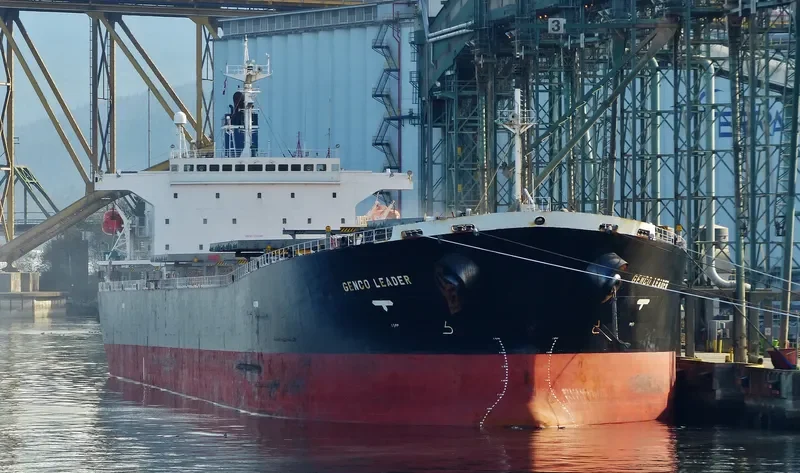 XING HONG DA Bulk Carrier IMO 9200366 photo 3