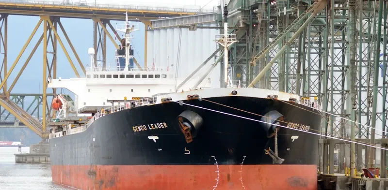 XING HONG DA Bulk Carrier IMO 9200366 photo 4