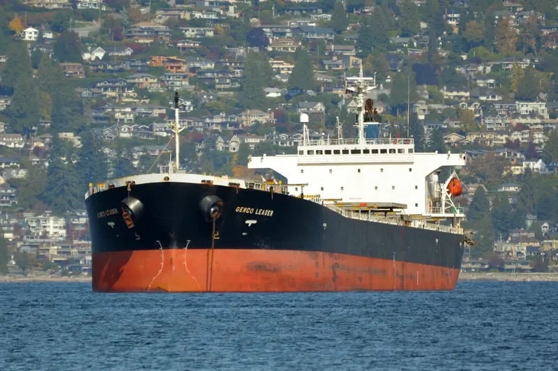XING HONG DA Bulk Carrier IMO 9200366 photo 6