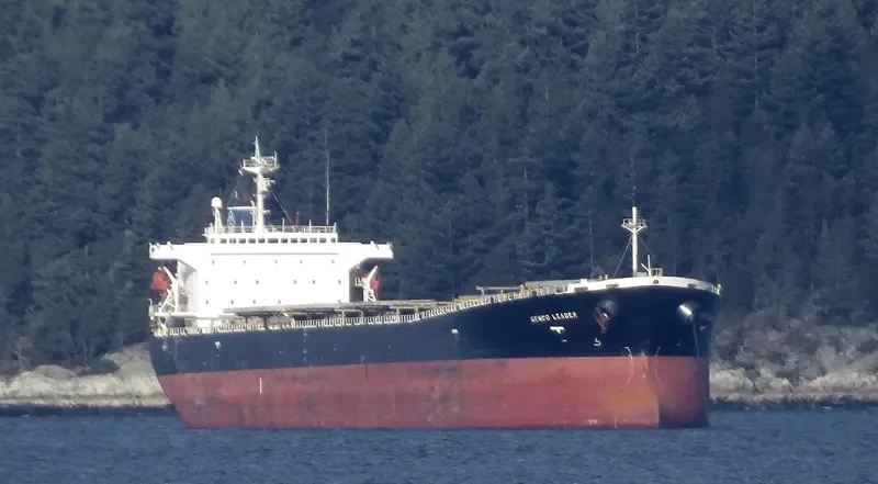 XING HONG DA Bulk Carrier IMO 9200366 photo 10