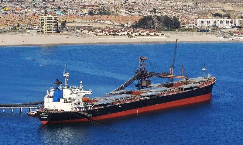 SAN SHIN Bulk Carrier IMO 9200378 photo 2