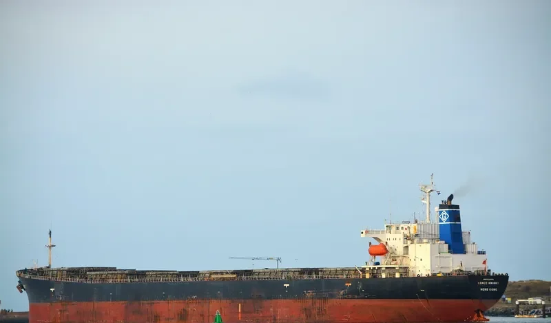 SAN SHIN Bulk Carrier IMO 9200378 photo 3