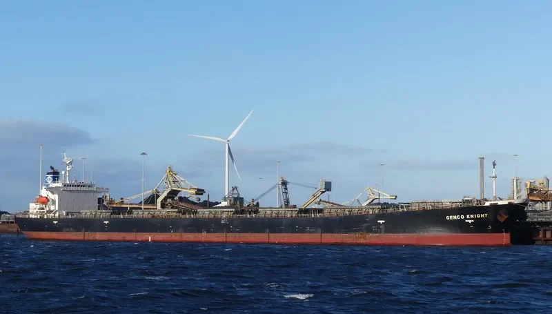 SAN SHIN Bulk Carrier IMO 9200378 photo 7