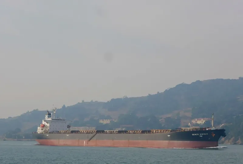 CHOLA HARMONY Bulk Carrier IMO 9200392 photo 2