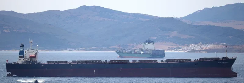 CHOLA HARMONY Bulk Carrier IMO 9200392 photo 3