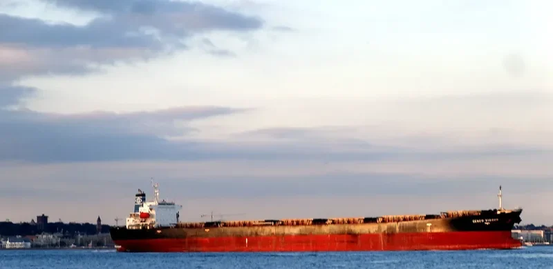 CHOLA HARMONY Bulk Carrier IMO 9200392 photo 5