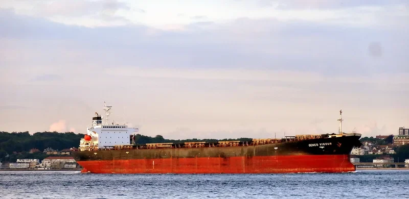 CHOLA HARMONY Bulk Carrier IMO 9200392 photo 6