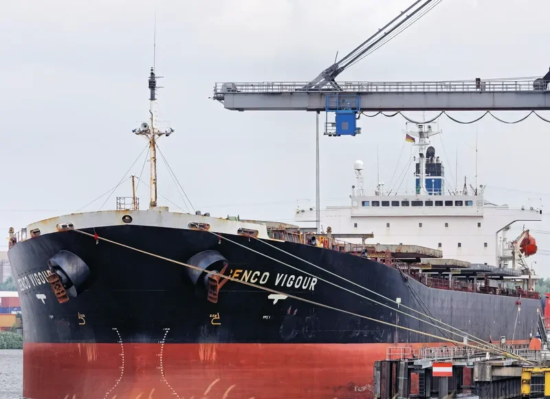 CHOLA HARMONY Bulk Carrier IMO 9200392 photo 7