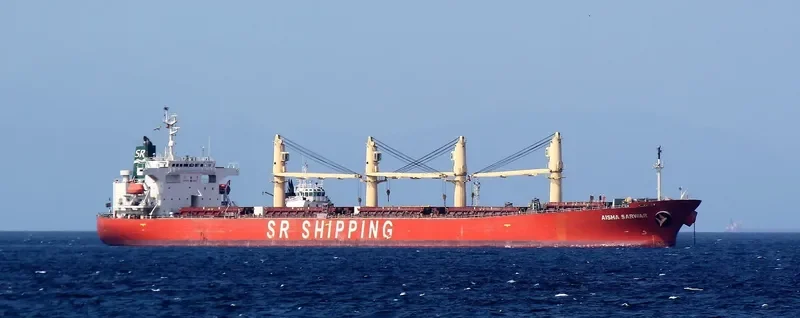 AISHA SARWAR Bulk Carrier IMO 9200433 photo 2