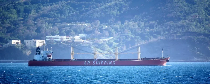 AISHA SARWAR Bulk Carrier IMO 9200433 photo 3