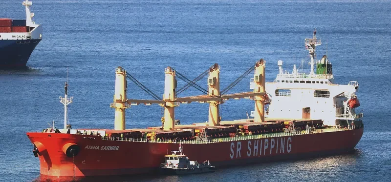 AISHA SARWAR Bulk Carrier IMO 9200433 photo 7