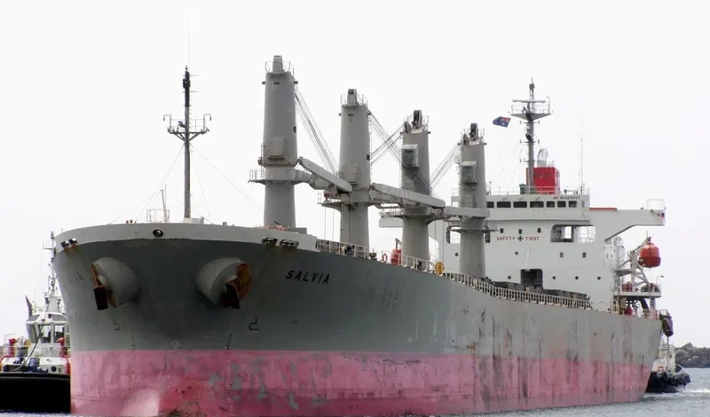 AISHA SARWAR Bulk Carrier IMO 9200433 photo 9