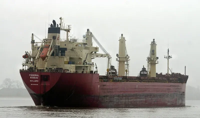 FEDERAL RIDEAU Bulk Carrier IMO 9200445 photo 3