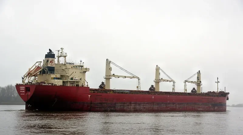 FEDERAL RIDEAU Bulk Carrier IMO 9200445 photo 4