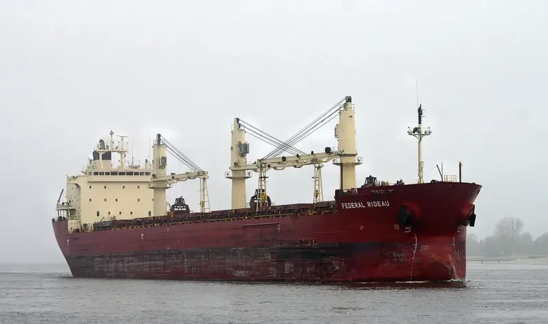 FEDERAL RIDEAU Bulk Carrier IMO 9200445 photo 6