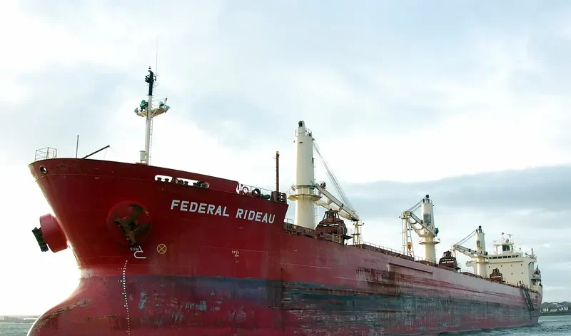 FEDERAL RIDEAU Bulk Carrier IMO 9200445 photo 9