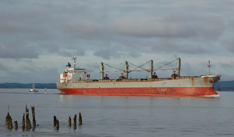 BERKAH 99 Bulk Carrier IMO 9200457 photo 2