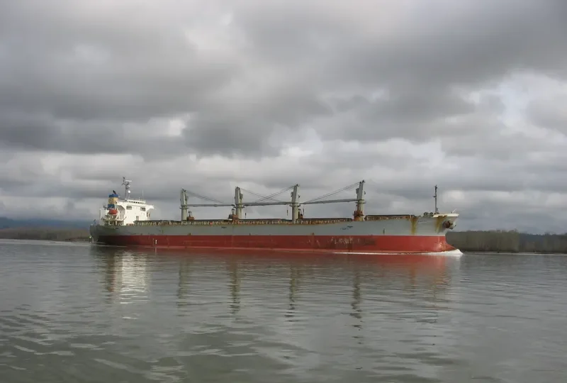 BERKAH 99 Bulk Carrier IMO 9200457 photo 5