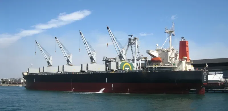 HI 02 Bulk Carrier IMO 9200550 photo 2