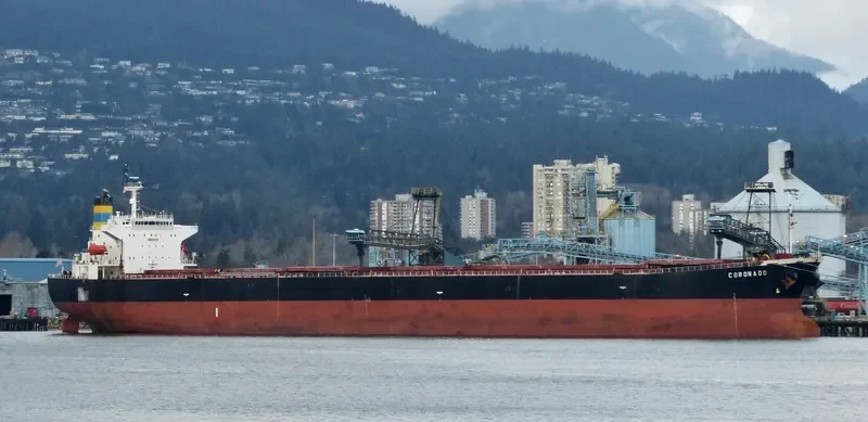 XIN DONG GUAN 11 Bulk Carrier IMO 9200562 photo 3