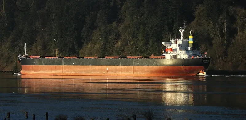 XIN DONG GUAN 11 Bulk Carrier IMO 9200562 photo 5