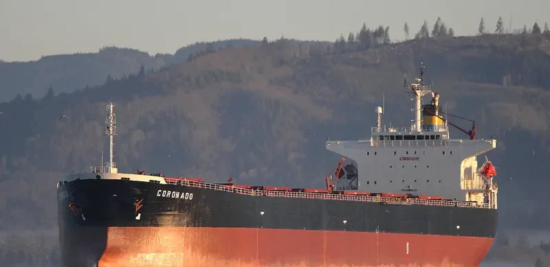 XIN DONG GUAN 11 Bulk Carrier IMO 9200562 photo 7