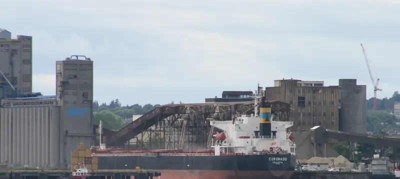 XIN DONG GUAN 11 Bulk Carrier IMO 9200562 photo 9