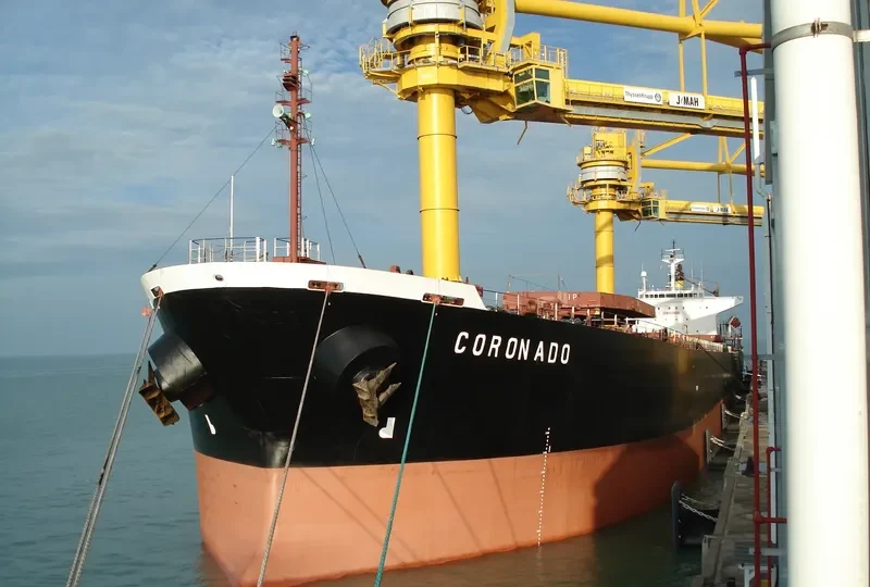 XIN DONG GUAN 11 Bulk Carrier IMO 9200562 photo 10