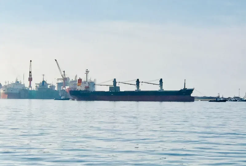 LADY SPERANZA Bulk Carrier IMO 9200574