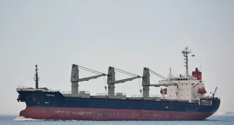 LADY SPERANZA Bulk Carrier IMO 9200574 photo 2