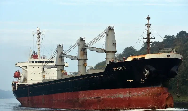 LADY SPERANZA Bulk Carrier IMO 9200574 photo 4