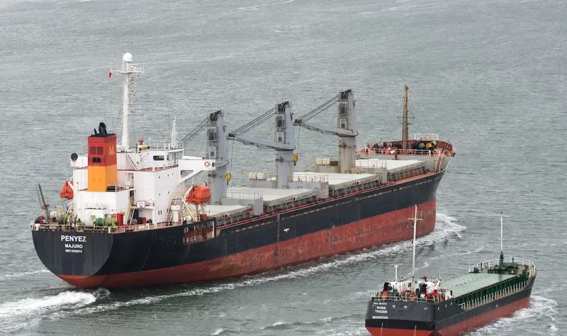 LADY SPERANZA Bulk Carrier IMO 9200574 photo 6