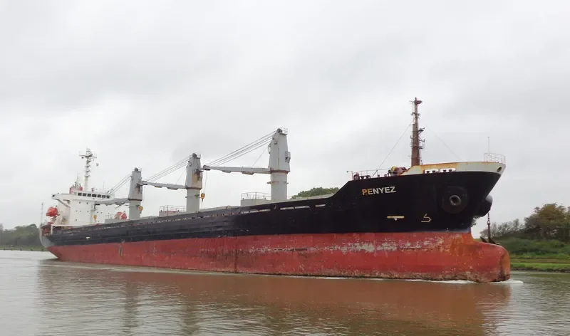 LADY SPERANZA Bulk Carrier IMO 9200574 photo 9