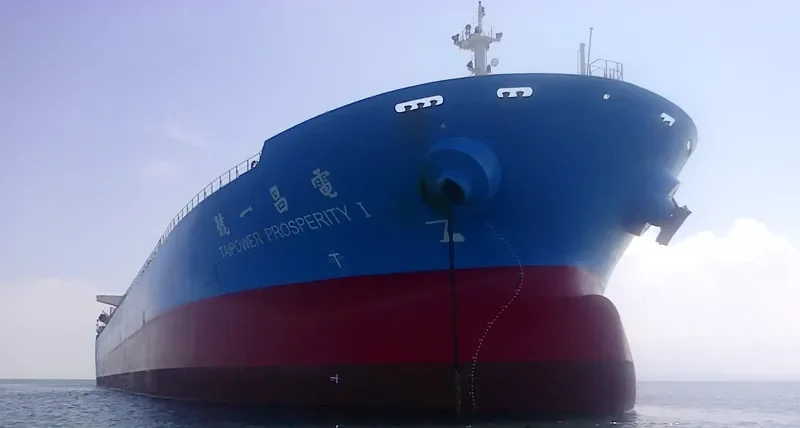 TAIPOWER PROSPERITY I Bulk Carrier IMO 9200653 photo 3