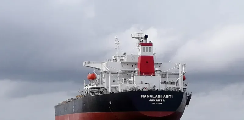 MANALAGI ASTI Bulk Carrier IMO 9200665 photo 10