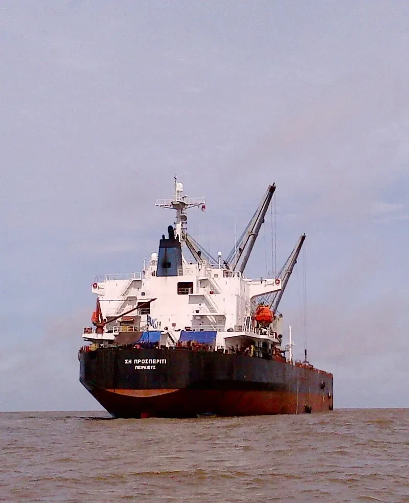 SEA PROSPERITY Bulk Carrier IMO 9201061 photo 2