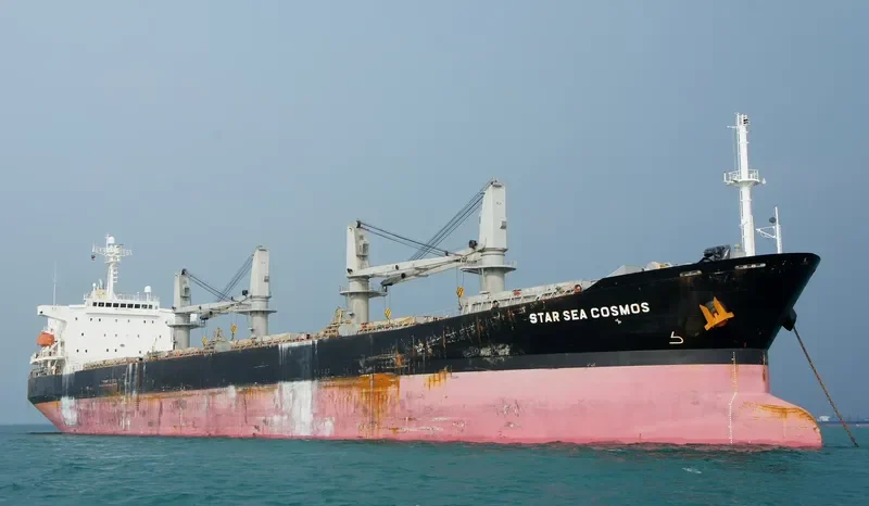 SEA PROSPERITY Bulk Carrier IMO 9201061 photo 4