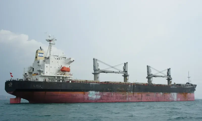 SEA PROSPERITY Bulk Carrier IMO 9201061 photo 5