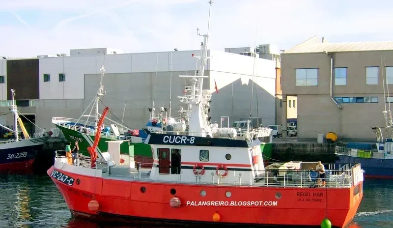 REGIO MAR General Cargo IMO 9201281 photo 4