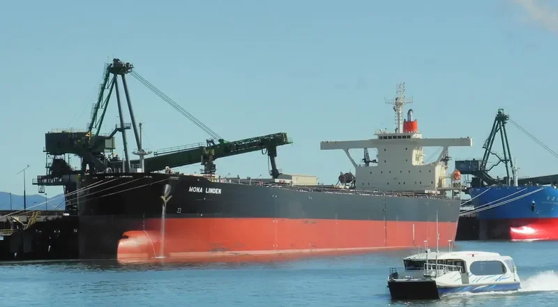 MONA LINDEN Bulk Carrier IMO 9201736 photo 3