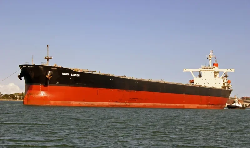 MONA LINDEN Bulk Carrier IMO 9201736 photo 4