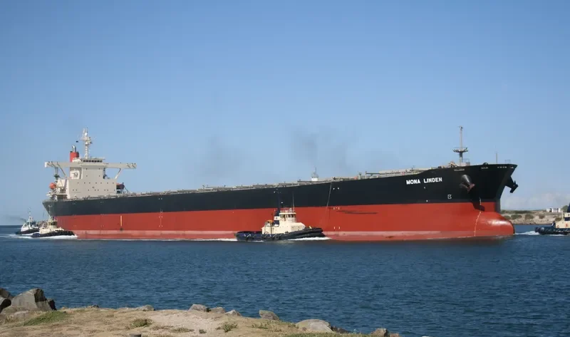 MONA LINDEN Bulk Carrier IMO 9201736 photo 5