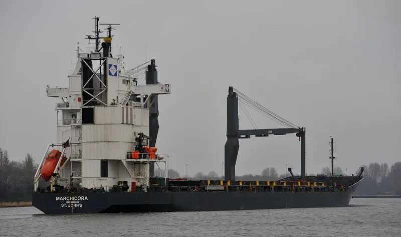 SEVERNIY PROECT Container Ship IMO 9202053 photo 9