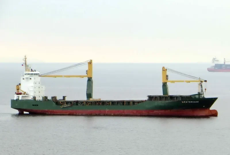OCEAN KINGDOM General Cargo IMO 9202091 photo 2