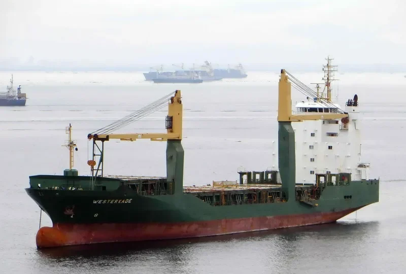 OCEAN KINGDOM General Cargo IMO 9202091 photo 5