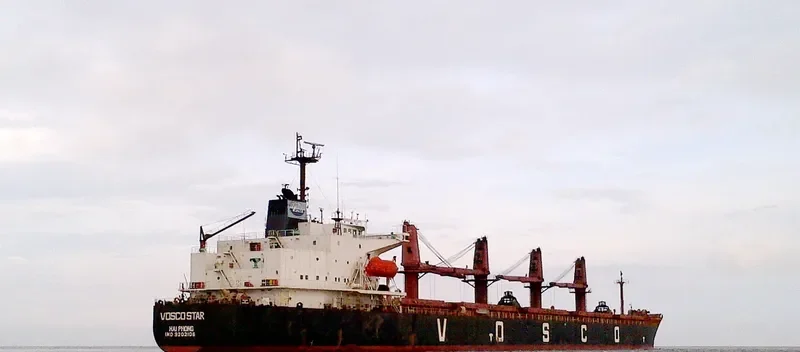 VOSCO STAR Bulk Carrier IMO 9202106 photo 3