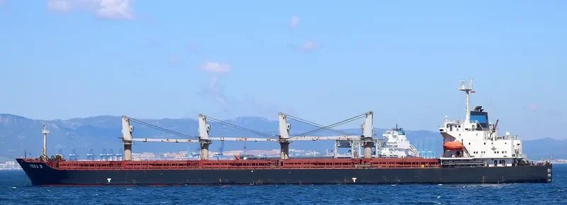 ERA S Bulk Carrier IMO 9202118 photo 3