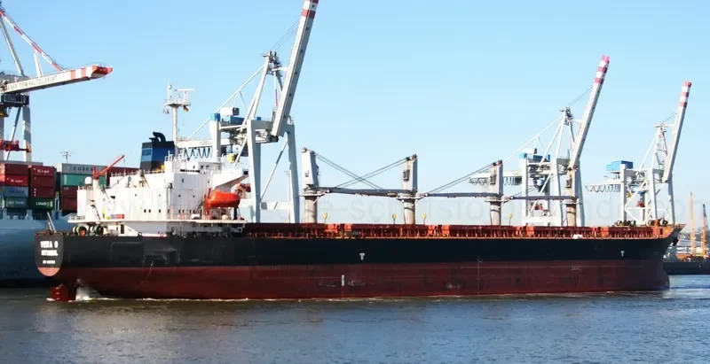 ERA S Bulk Carrier IMO 9202118 photo 8