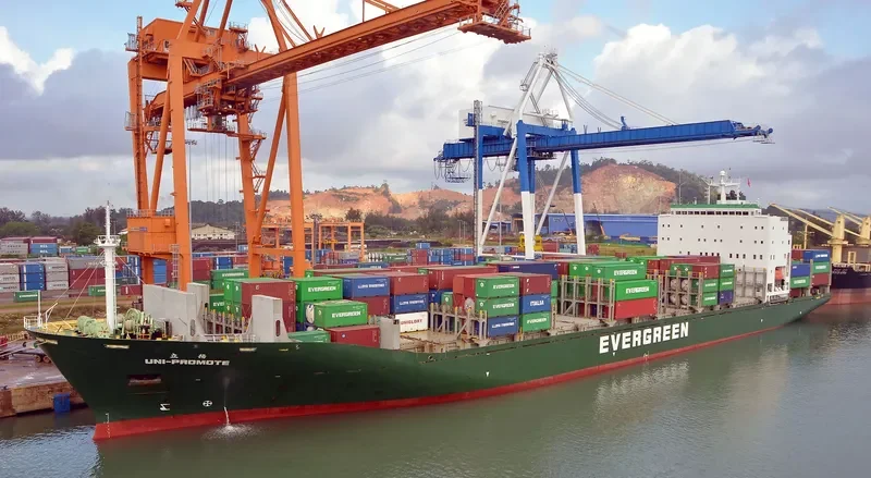 UNI PROMOTE Container Ship IMO 9202211