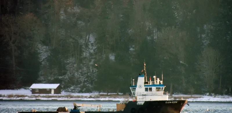CLEAN OCEAN Offshore Vessel IMO 9202352 photo 2
